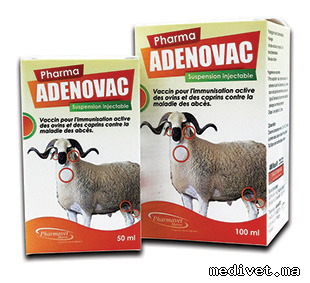 ADENOVAC