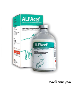 ALFACEF
