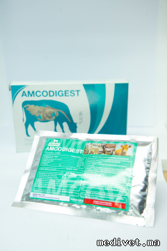 AMCODIGEST