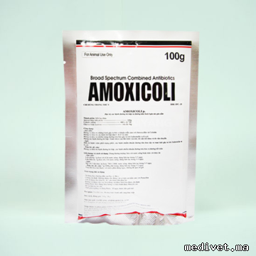 AMOXICOLI