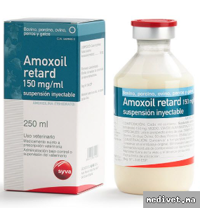 AMOXOIL RETARD