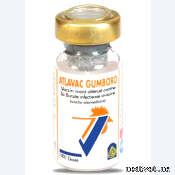 ATLAVAC GUMBORO