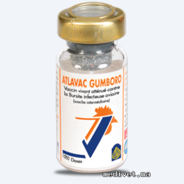 ATLAVAC GUMBORO