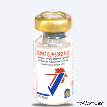 ATLAVAC GUMBORO PLUS