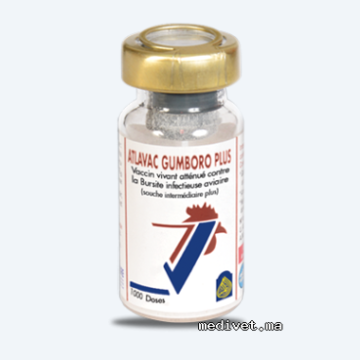 ATLAVAC GUMBORO PLUS