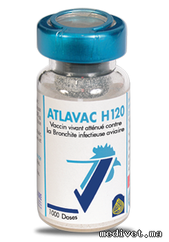 ATLAVAC H120