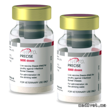 AVIPRO PRECISE