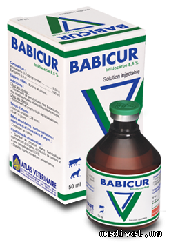 BABICUR