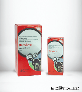BAR VAC 10 WAYS CON RETIGEN