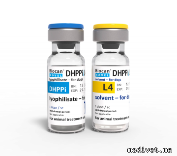 BIOCAN NOVEL DHPPI/L4