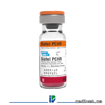 BIOFEL PCHR