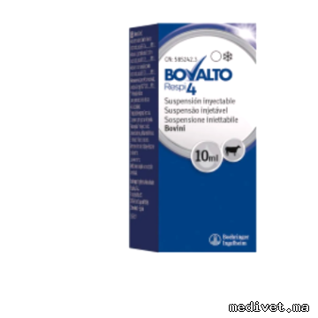 BOVALTO RESPI 4