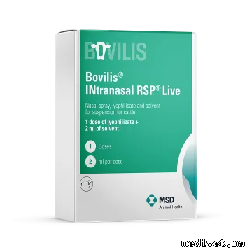 Bovilis INtranasal RSP Live