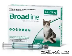 Broadline