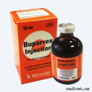 Buparvex