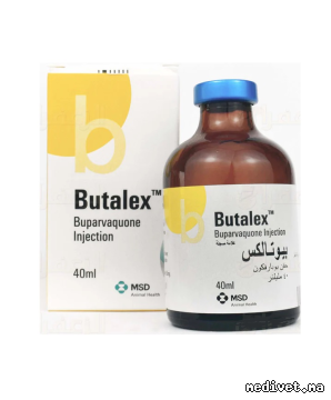 BUTALEX
