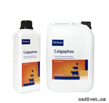 CALGOPHOS