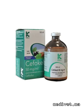 Cefokel