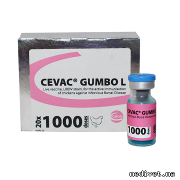 CEVAC GUMBO L