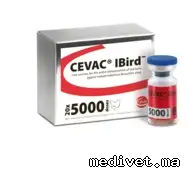 CEVAC IBIRD