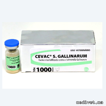CEVAC S GALLINARUM