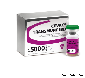 CEVAC TRANSMUNE