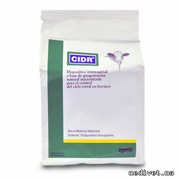 CIDR