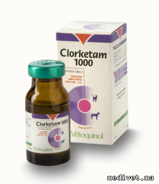 CLORKETAM 1000