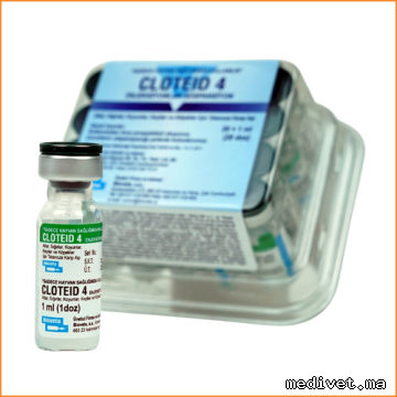CLOTEID 4