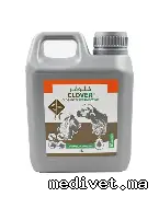 CLOVER
