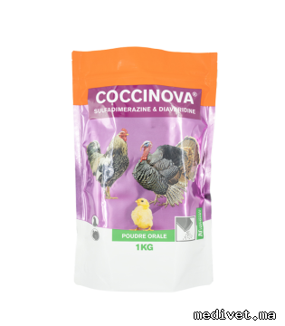 COCCINOVA