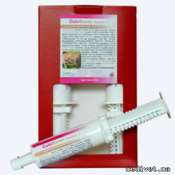 COLOBOOST POULAIN GEL