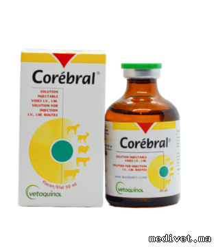 COREBRAL