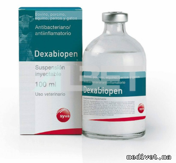 DEXABIOPEN