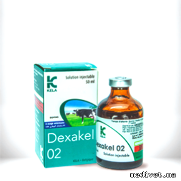 DEXAKEL 02