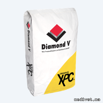 Diamond V Original XPC