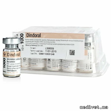 DINDORAL