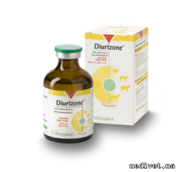 DIURIZONE