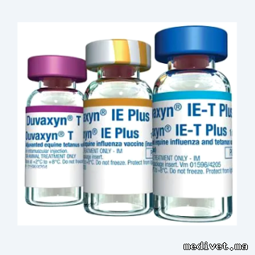 DUVAXYN IE-T PLUS