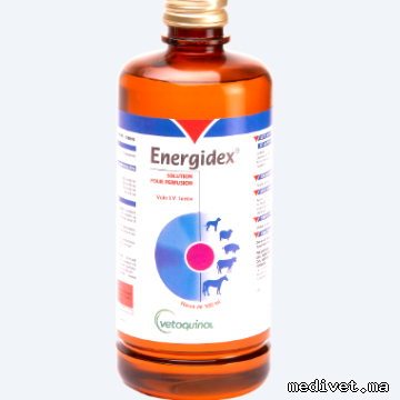 ENERGIDEX