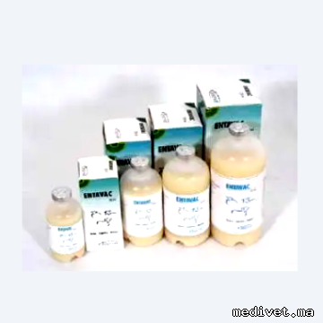 ENTAVAC