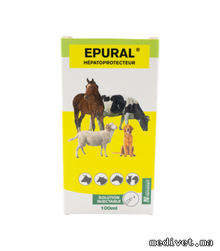 EPURAL