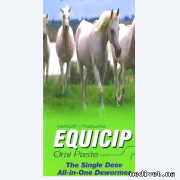 EQUICIP