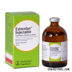 ESTOCELAN