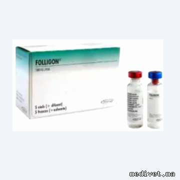 FOLLIGON