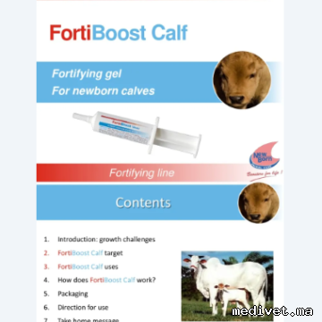 FORTIBOOST VEAU GEL