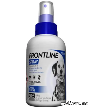 FRONTLINE
