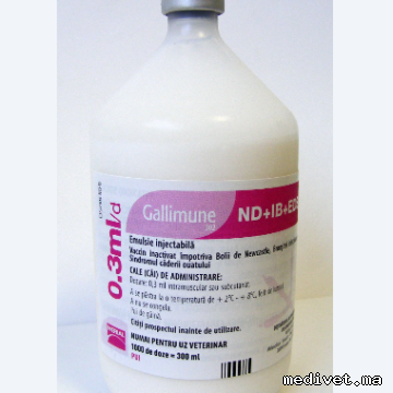 GALLIMUNE 302 ND+IB+EDS