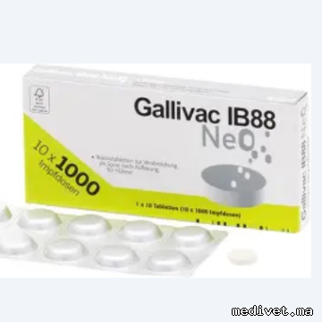 GALLIVAC IB 88 NEO