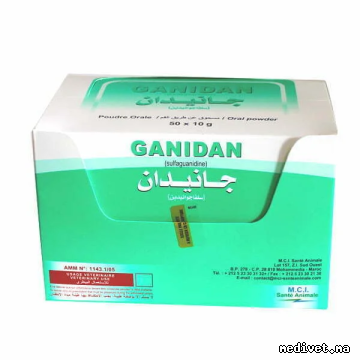 GANIDAN